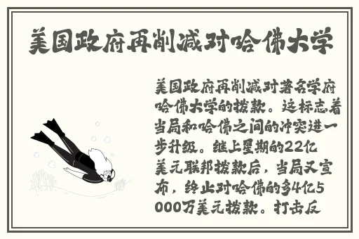 我的漂亮的瘦子5
